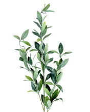 Load image into Gallery viewer, Faux Dusty Laurel Stem