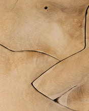 Load image into Gallery viewer, Tory Coffee Table