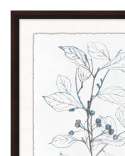 Load image into Gallery viewer, Blue Leaf Sketch 1
