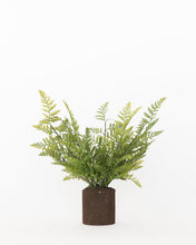 Load image into Gallery viewer, Faux Woodland Fern Drop-In
